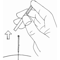 HEGU STANDARD HYLSTER