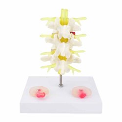 Lnderygs model med diskeprop