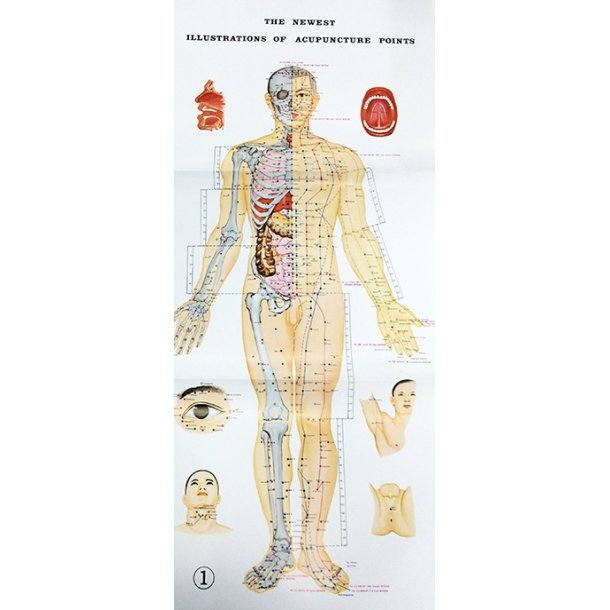 3 akupunktur plakater (Engelsk)