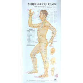 4 Plakater om akupunktur punkter (engelsk)