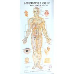 4 Plakater om akupunktur punkter (engelsk)