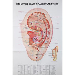 Akupunktur plakat - re (engelsk)